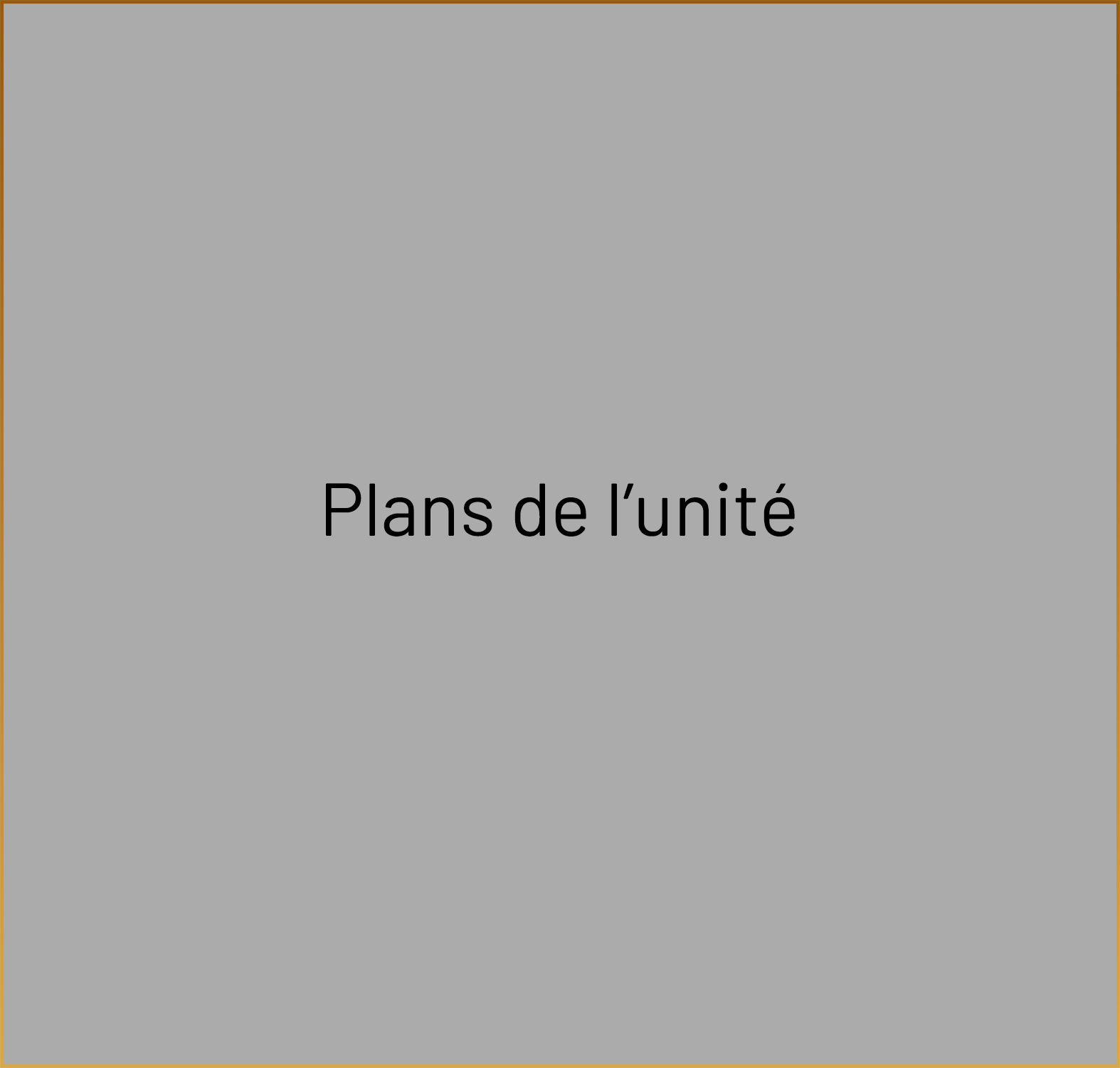 Texte "Plans de l'unité" sur fond gris.
